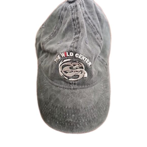 Vintage The Wild Center Hat Buckle Logo Embroidered Gray Cap Tupper Lake, NY - Picture 1 of 3
